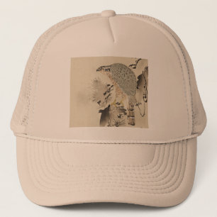Casquette Goshawk asiatique - 1890