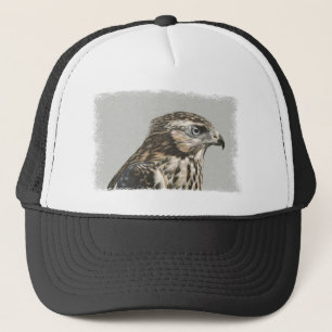 Casquette Goshawk immature
