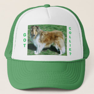 CASQUETTE GOT, COLLIE ?