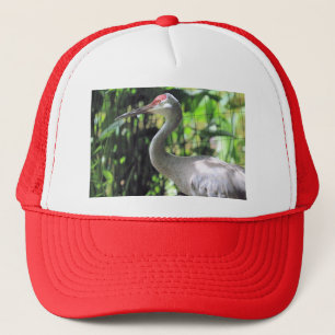 Casquette Graine de Sandhill