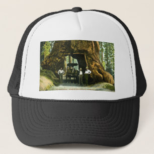 Casquette Grand arbre Wawona, verger de Mariposa, cru de CA