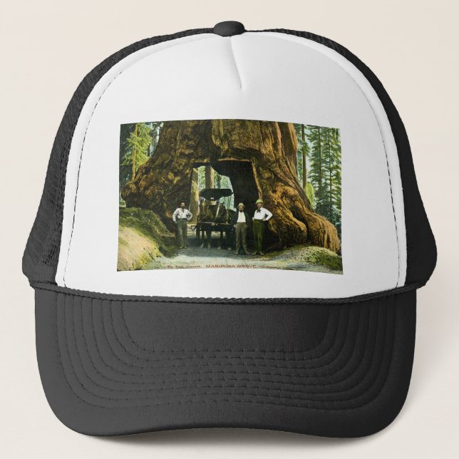 Casquette Grand arbre Wawona, verger de Mariposa, cru de CA (Devant)