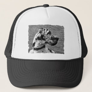 CASQUETTE GRAND DANE