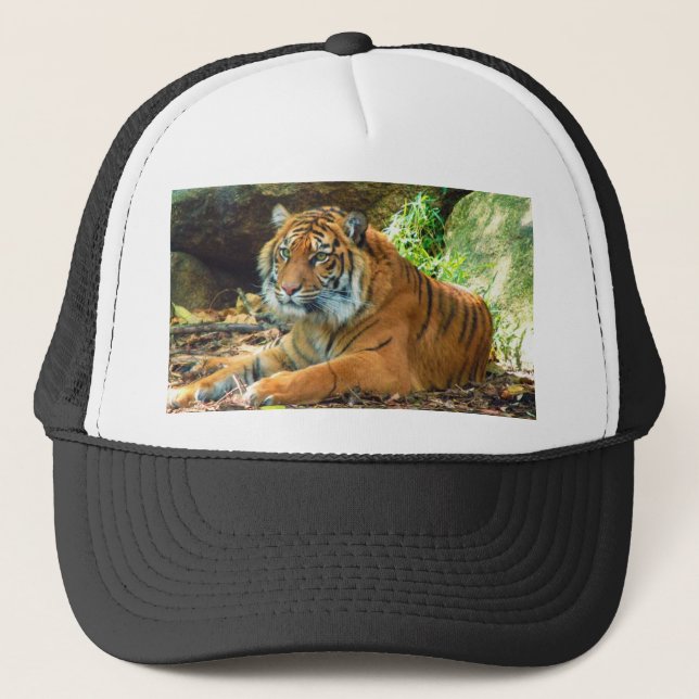 Casquette grand de camionneurs de tigre (Devant)