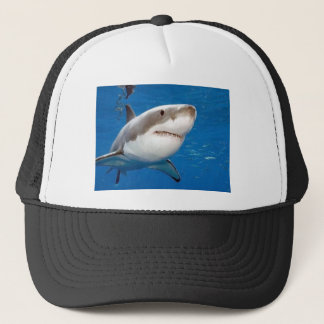 Casquette Grand requin blanc