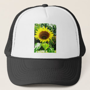 Casquette Grand tournesol jaune