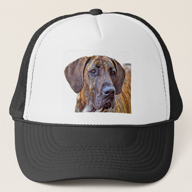 Casquette Great dane (Devant)