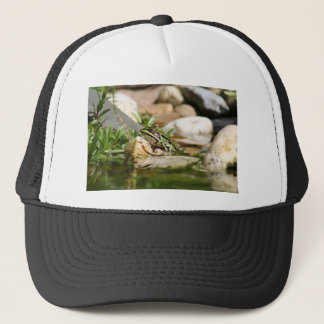Casquette Grenouille