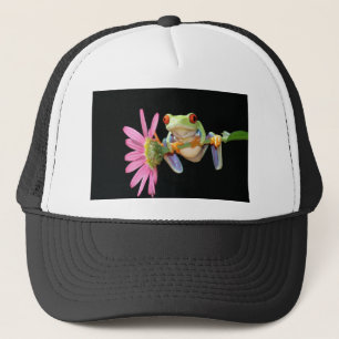 Casquette grenouille d'arbre observée par rouge