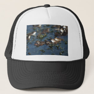 Casquette Grenouille drôle