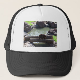 Casquette Grizzly Bear