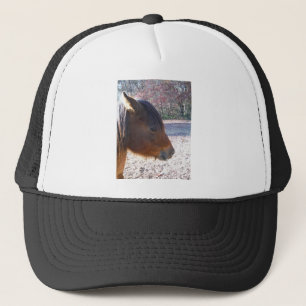 Casquette Gros plan sur le cheval Brown, Little Brown Pony
