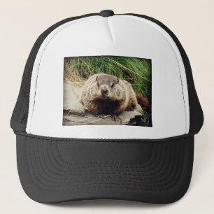 Casquette Groundhog