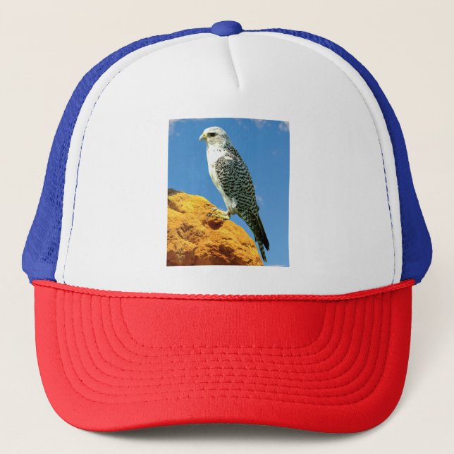 Casquette Gyrfalcon perché sur un rocher (Devant)