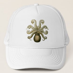 Casquette Haeckel Octopus