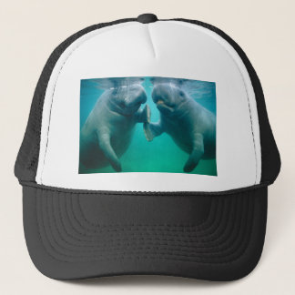 Casquette haine de lamantin