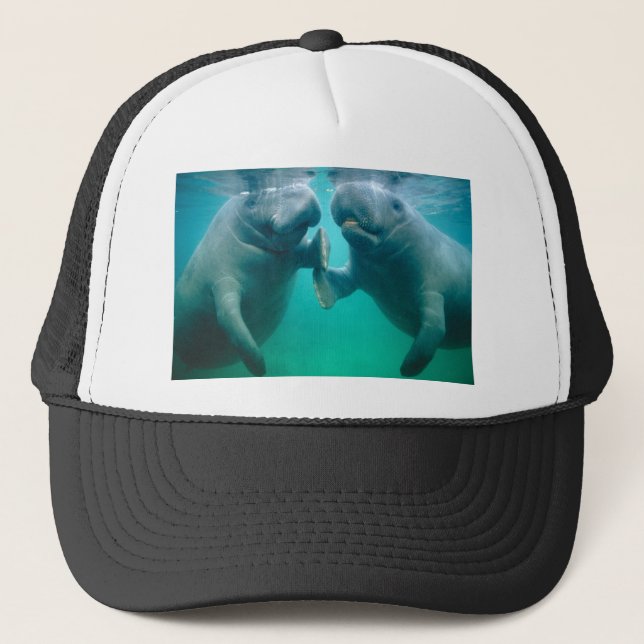 Casquette haine de lamantin (Devant)