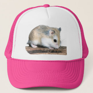 Casquette Hammy le hamster