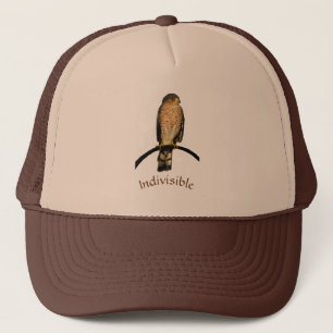 Casquette Hawk Brown indivisible