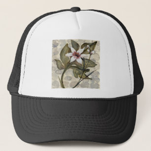 Casquette HAZ26 Amazonie 4.tif
