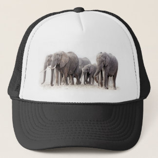 Casquette Herbe d'éléphants