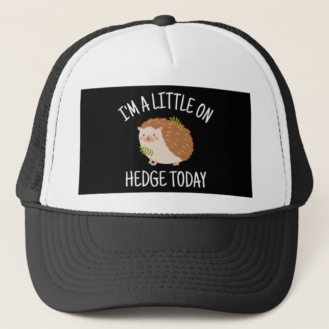 Casquette Hérisson peu sur la couverture aujourd'hui (Devant)