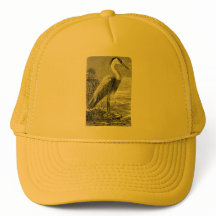 Casquette Heron