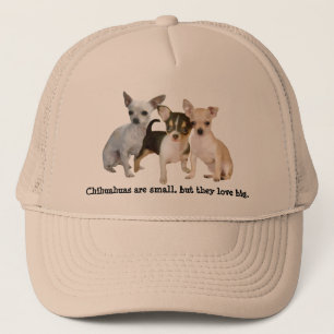 Casquette heureux de trio de chiwawa