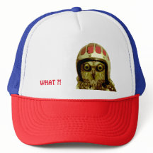 HIBOU AMÉRICAIN DE CYCLISTE