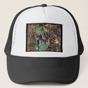 Casquette Hot Springs National Park, AR Upper Dogwood Loop
