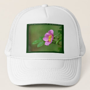 Casquette Hot Springs National Park, AR Wild Rose Don
