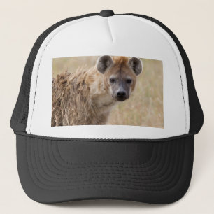 Casquette Hyena