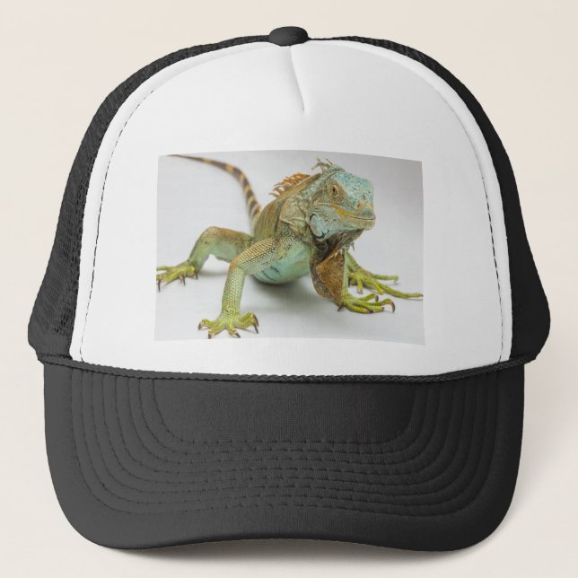 Casquette Iguane (Devant)