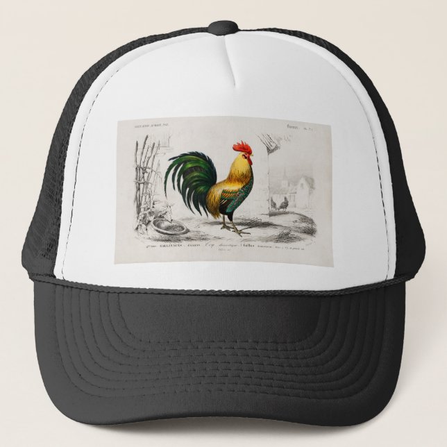 Casquette Illustration de la coop de poulet du coq 1800 (Devant)