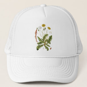 Casquette Illustration vintage du Dandelion
