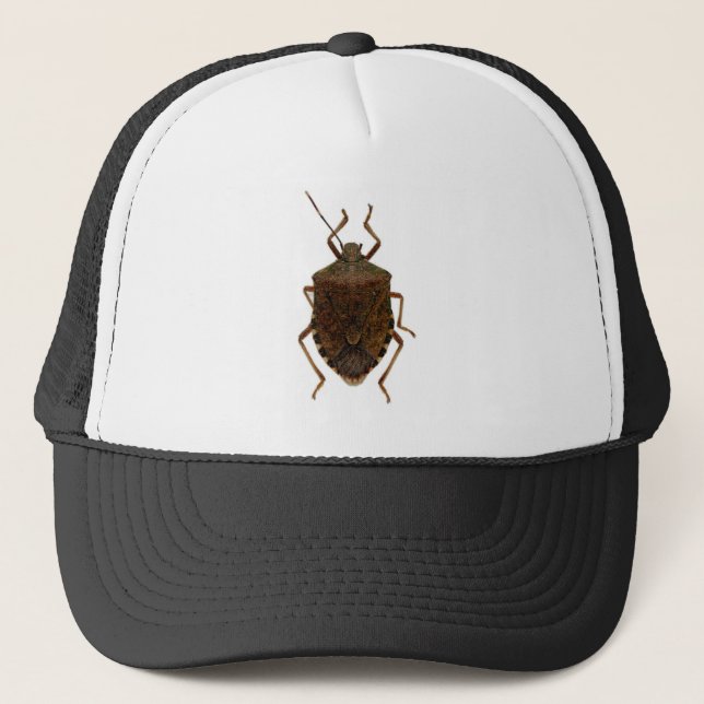 Casquette Insecte de puanteur (Devant)