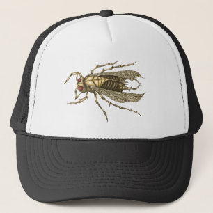Casquette Insecte de Steampunk