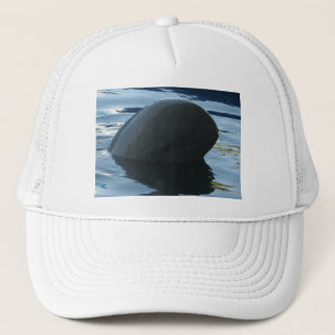 Casquette Irrawaddy Dolphin Peek-A-Boo