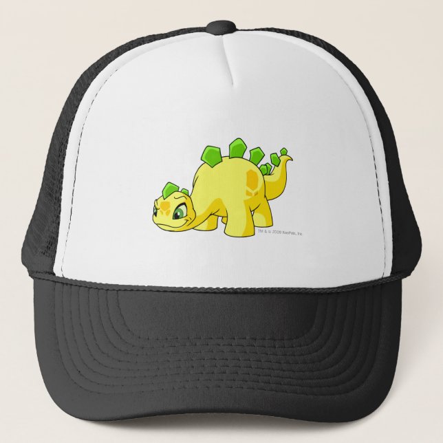 Casquette Jaune de Chomby (Devant)
