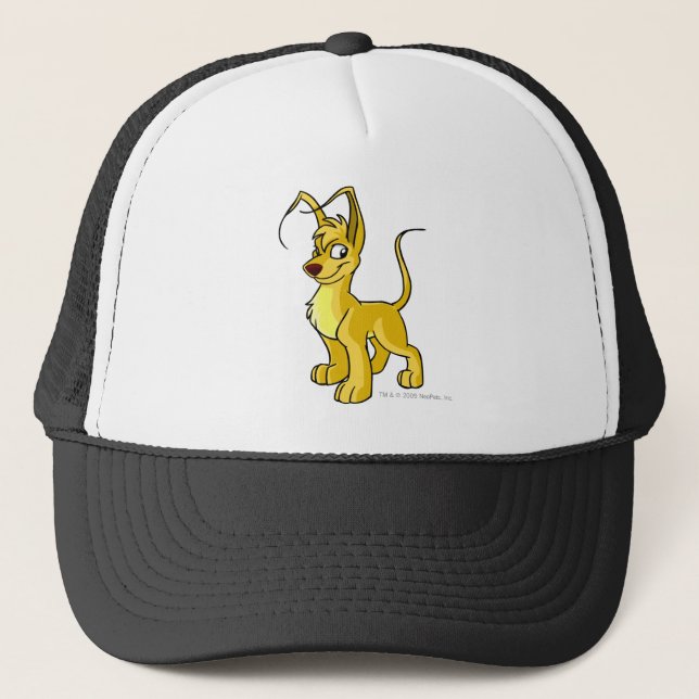 Casquette Jaune de Gelert (Devant)