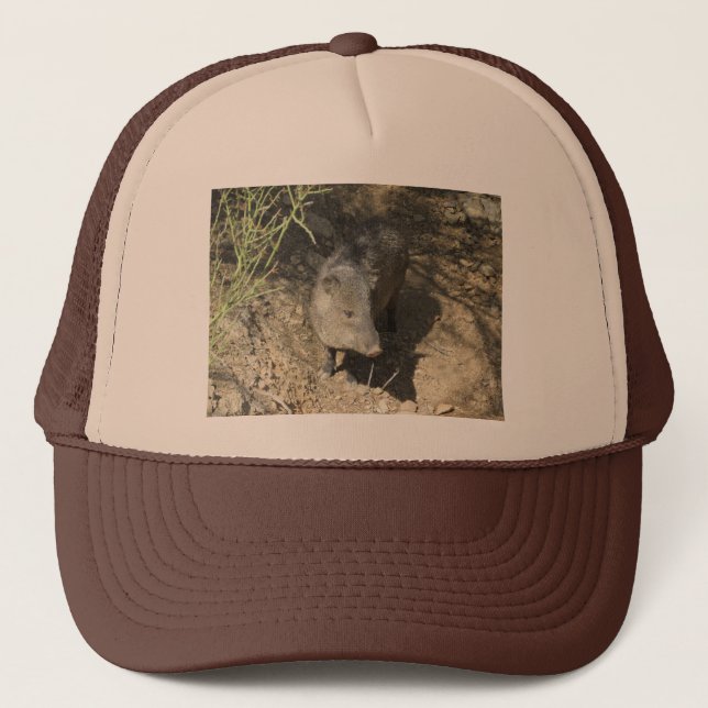 Casquette Javelina (Devant)