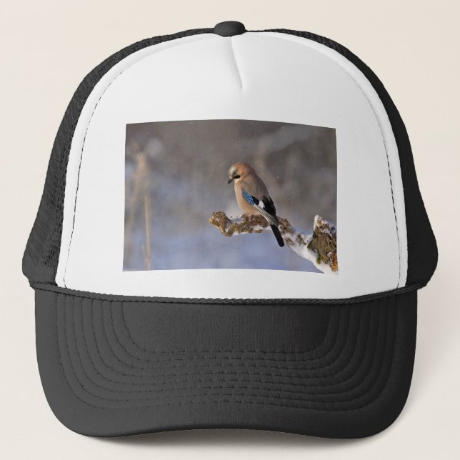Casquette Jay Bird en hiver (Devant)