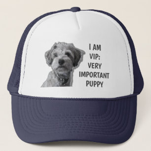 Casquette Je suis VIP : Très important Chien, chien mignon