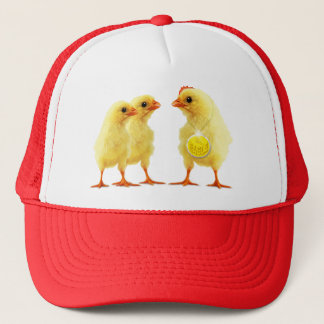 Casquette Jeune coq héroïque