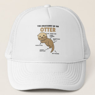 Casquette Jolie Otter Explication Anatomie D'Une Otter