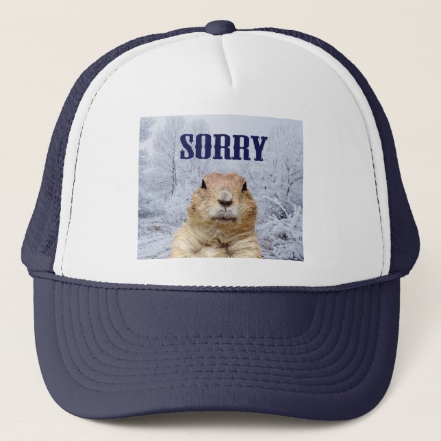 Casquette Jour de marmotte Désolés (Devant)