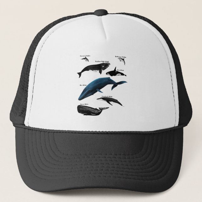 CASQUETTE JOURS DE BALEINE (Devant)