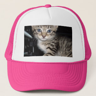 Casquette Kitten Gris Fluffé Bleu,