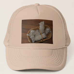 Casquette Kitty Ball