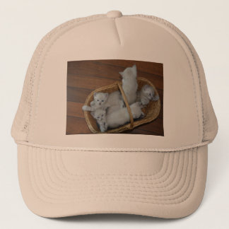 Casquette Kitty Ball